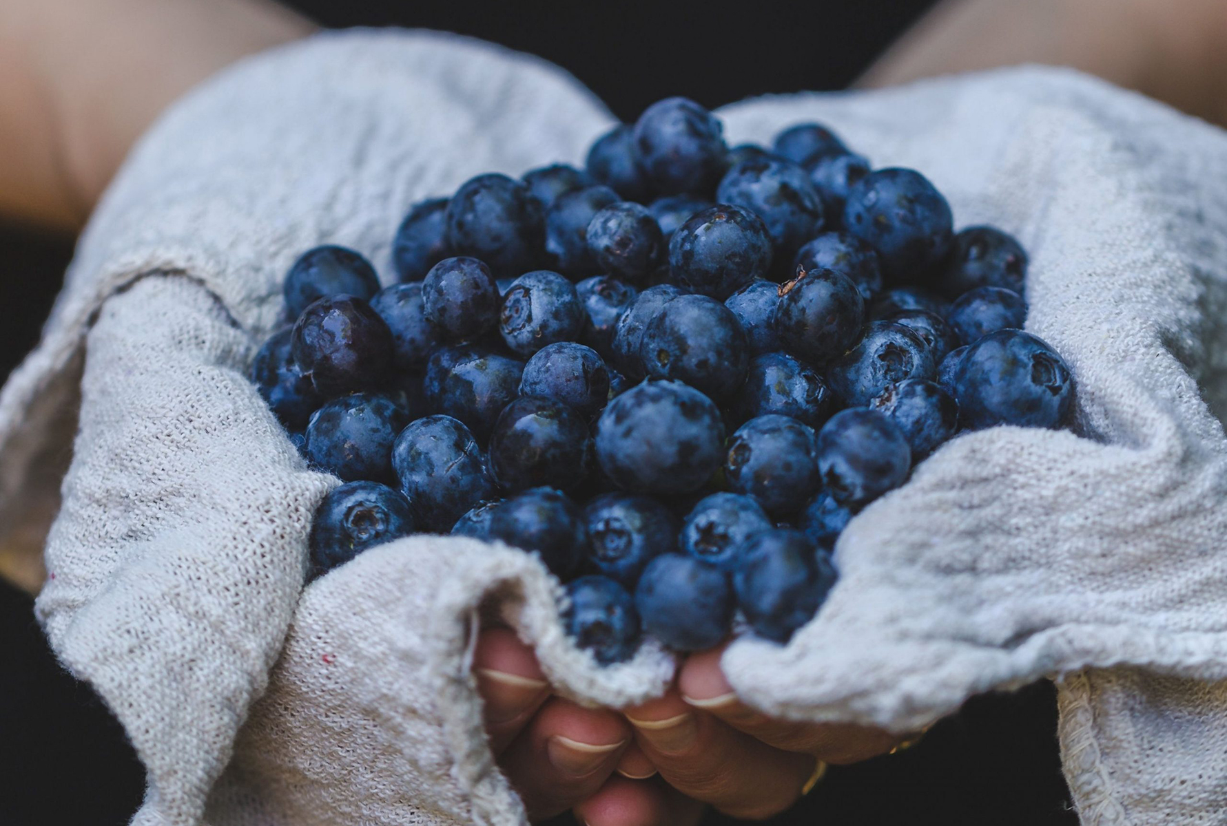 How to Grow Blueberries in Containers